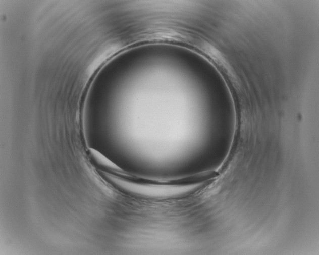 X0000088661234200706081654