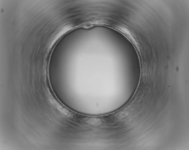 X0000088661235200706081654