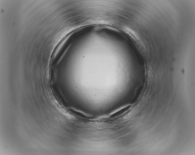 X0000088661236200706081654