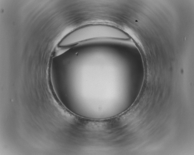 X0000088661237200706081654