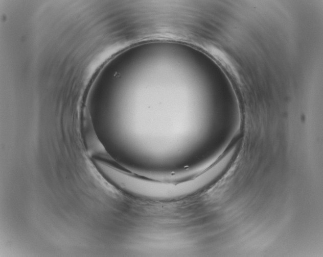 X0000088661238200706081654