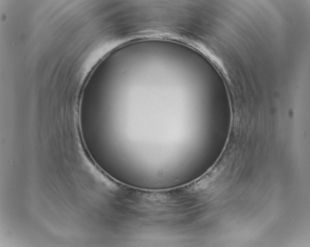 X0000088661239200706081654