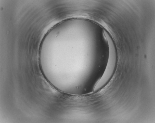 X0000088661240200706081654