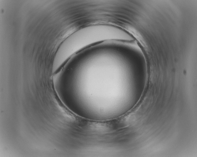 X0000088661241200706081654