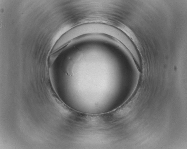 X0000088661242200706081654