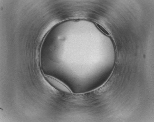 X0000088661243200706081655