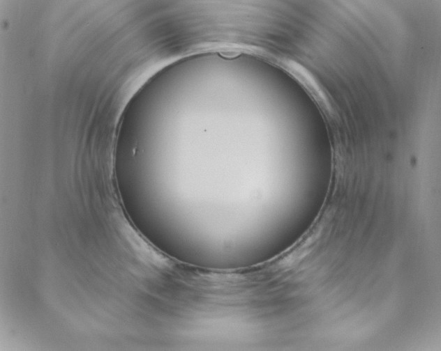 X0000088661244200706081655