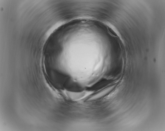 X0000088661245200706081655