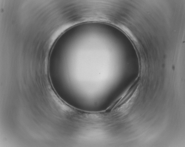 X0000088661246200706081655