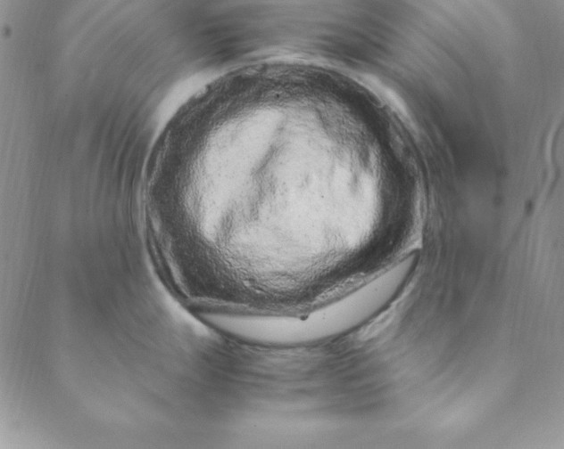 X0000088661247200706081655