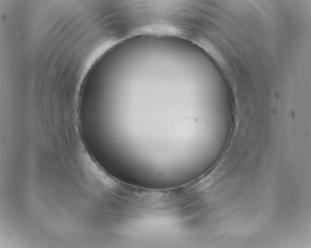 X0000088661248200706081655