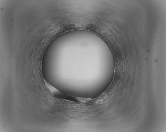 X0000088661249200706081654