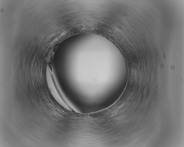 X0000088661250200706081654