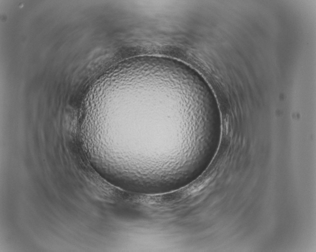 X0000088661251200706081654