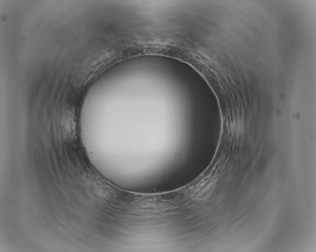 X0000088661252200706081654