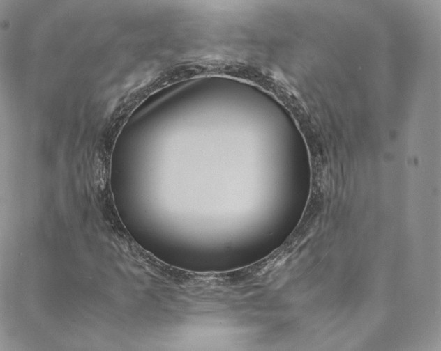 X0000088661253200706081654