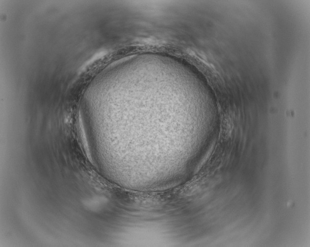 X0000088661254200706081654