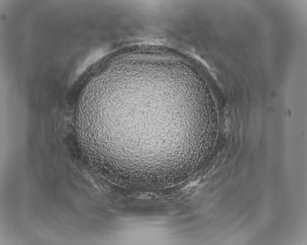 X0000088661255200706081654