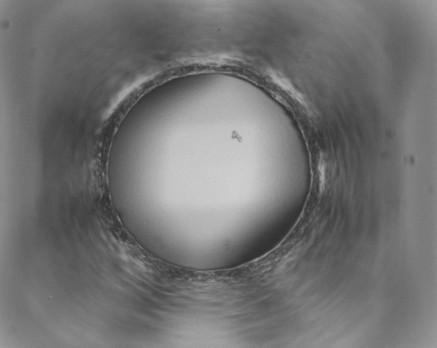 X0000088661256200706081654