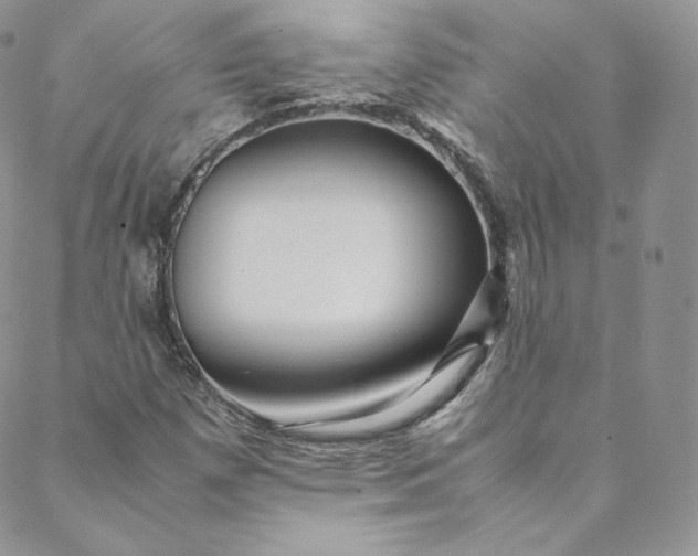 X0000088661257200706081654