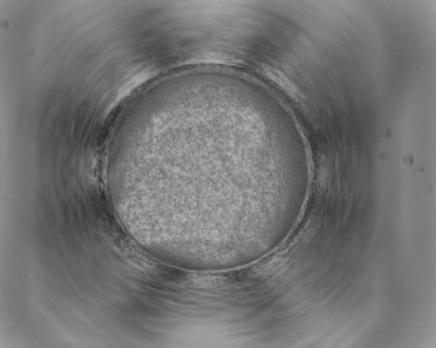 X0000088661258200706081654