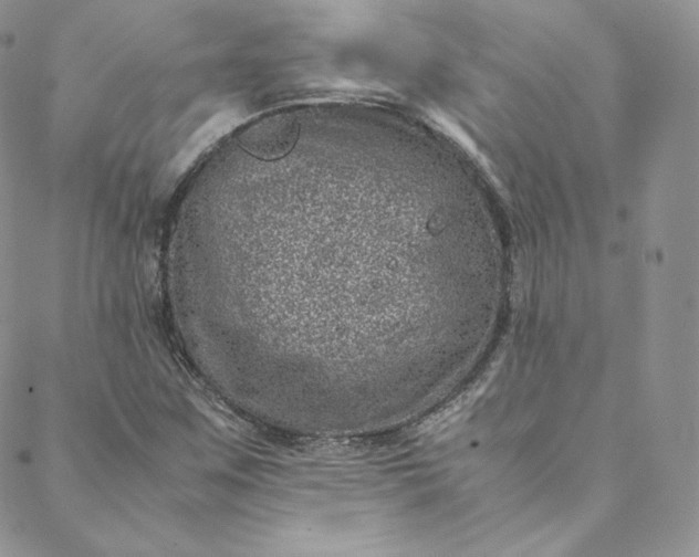 X0000088661259200706081654