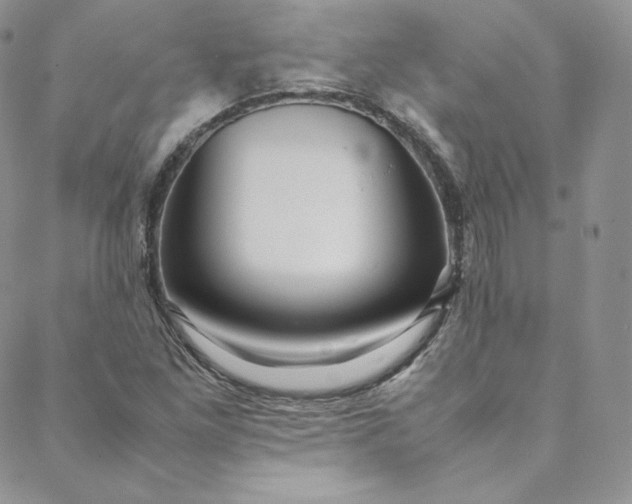 X0000088661261200706081654