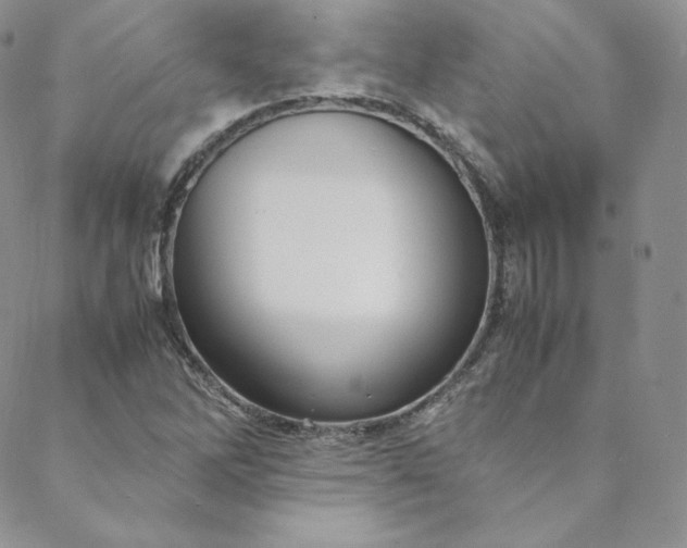 X0000088661262200706081654