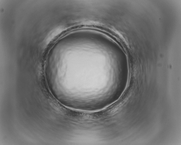 X0000088661263200706081654