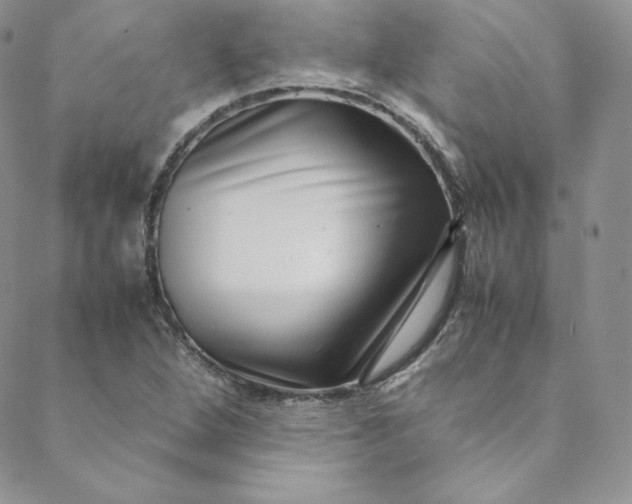 X0000088661264200706081654