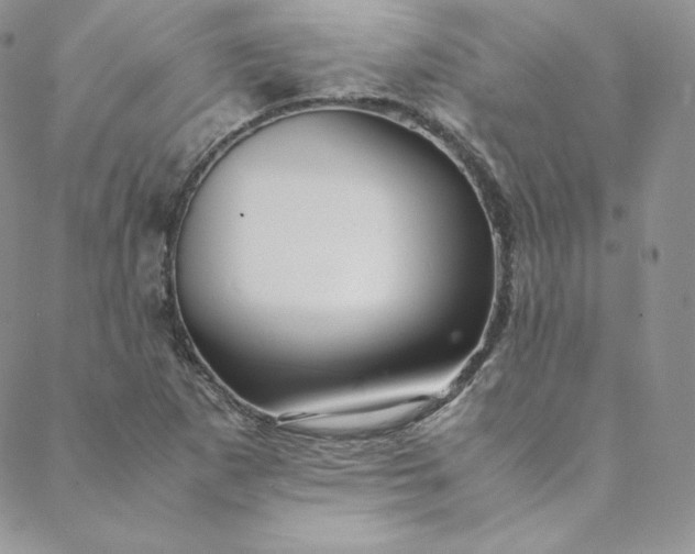 X0000088661265200706081654