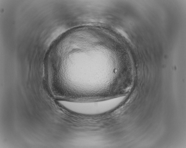 X0000088661267200706081654