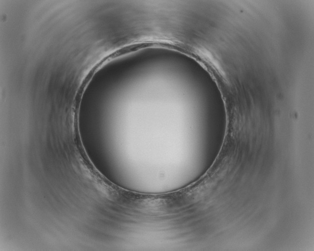 X0000088661268200706081653