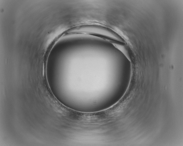 X0000088661269200706081653