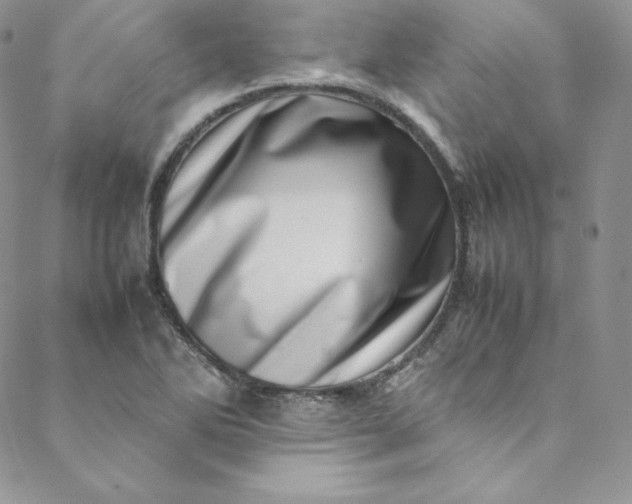 X0000088661270200706081653