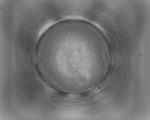 X0000088661271200706081653