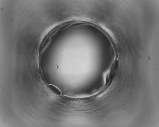 X0000088661272200706081653