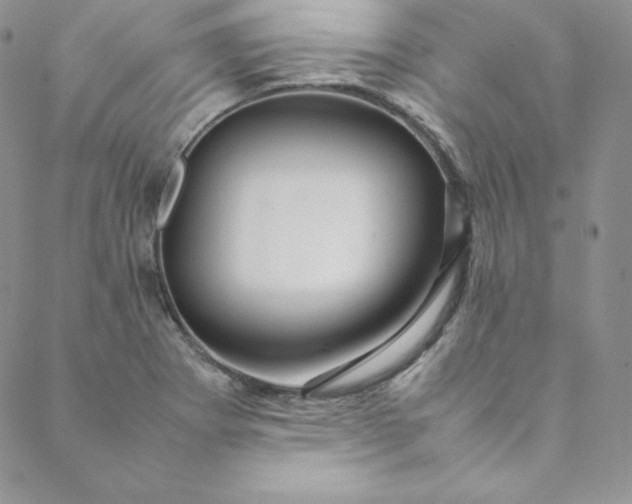 X0000088661273200706081653