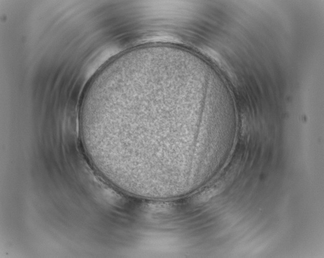 X0000088661274200706081653