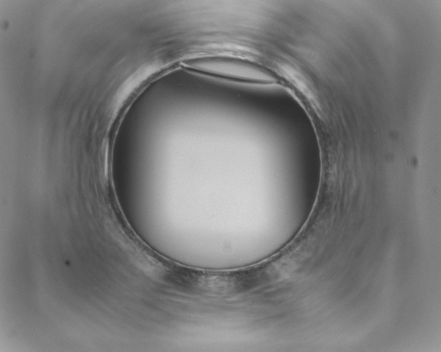 X0000088661275200706081653