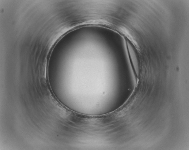 X0000088661276200706081653