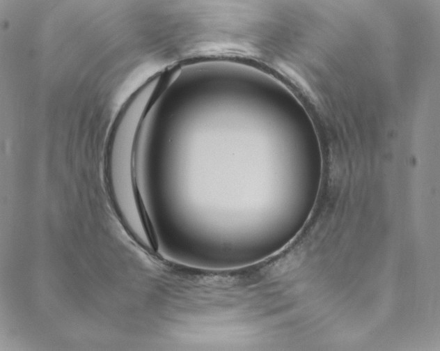 X0000088661277200706081653