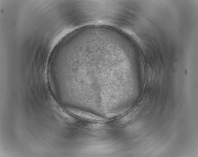 X0000088661278200706081653