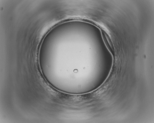 X0000088661279200706081653