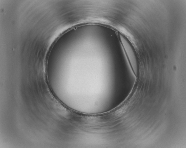 X0000088661280200706081653