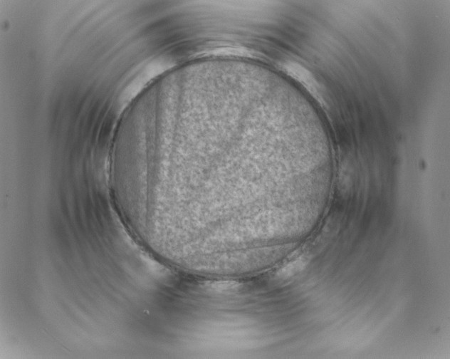 X0000088661282200706081653