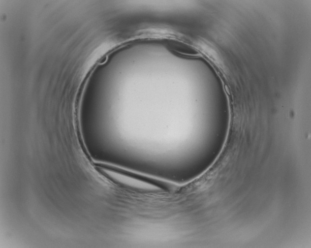 X0000088661283200706081653