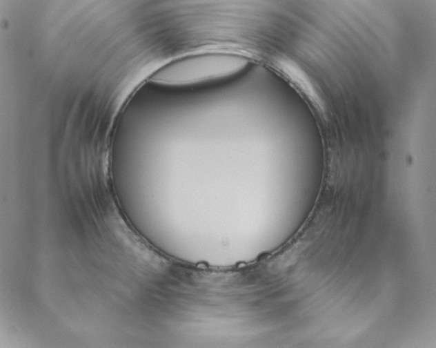 X0000088661284200706081653