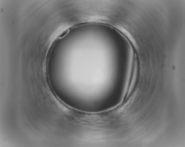 X0000088661285200706081653