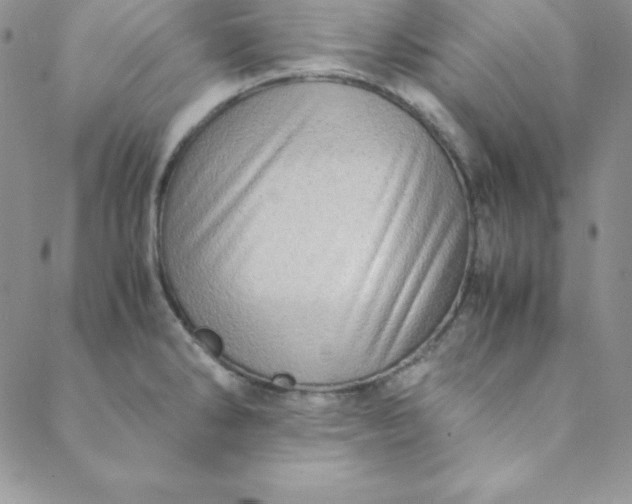 X0000088661286200706081653